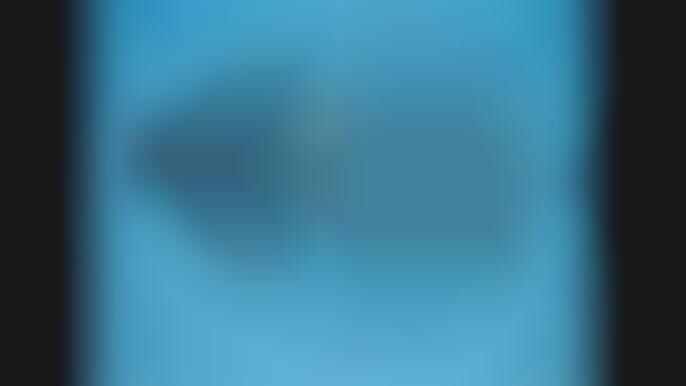 underwater hamster cage