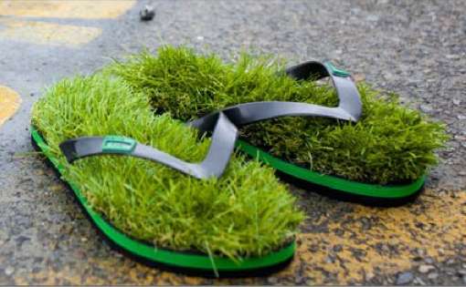 Fetching Grassy Footwear