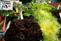 Eclectic Eating at Borough Market Image 5