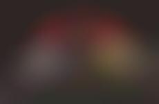 Whimsical Worldly Branding