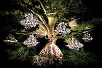 Whimsical Wonderland Captures Image 2