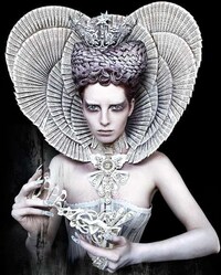 Whimsical Wonderland Captures Image 3