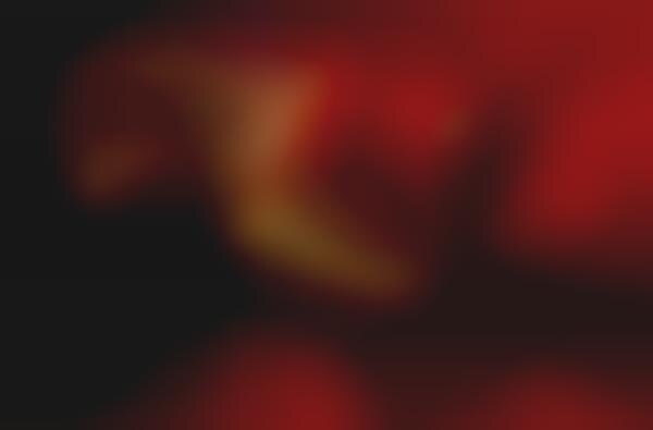 Red Dress Renderings