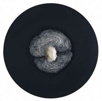 Miniature Wax Designs Image 7
