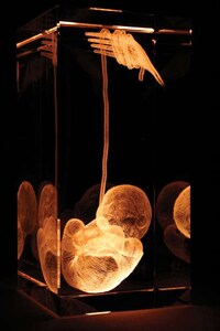 Newborn Baby 3D Artwork Image 2