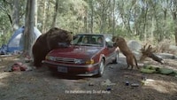 Funny Vacation Memory Ads Image 4