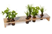 Mini Urban Gardens Image 3
