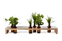 Mini Urban Gardens Image 4