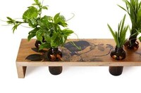 Mini Urban Gardens Image 5