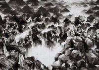 Rorschach Test-Inspired Art Image 7