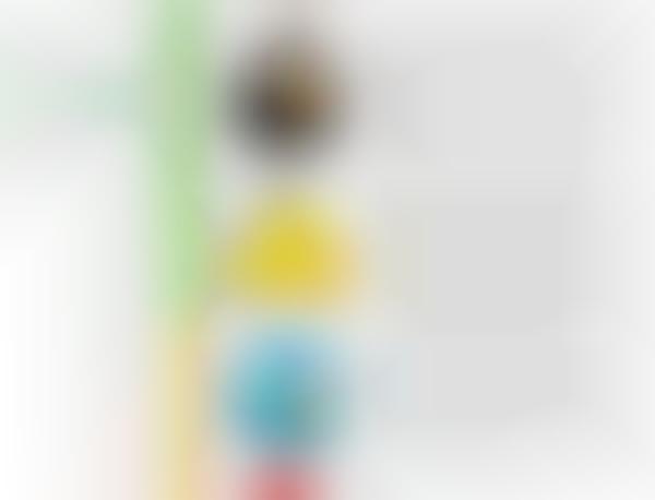Avian App Infographics