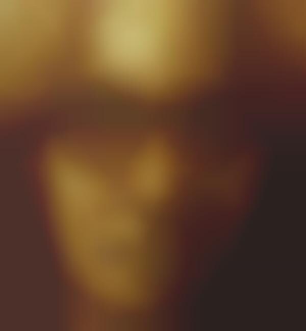 Bulletproof Pop Culture Portraits