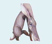 Whimsical Wildlife Lettering Image 2