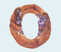 Whimsical Wildlife Lettering Image 4