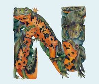 Whimsical Wildlife Lettering Image 5