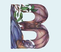 Whimsical Wildlife Lettering Image 6