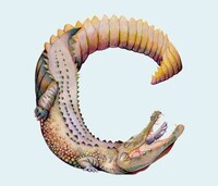 Whimsical Wildlife Lettering Image 7