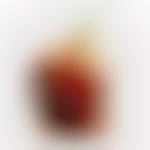 Endearing Emotive Apple Art