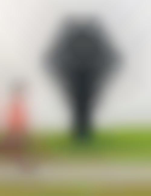 Car Tire Shrubs