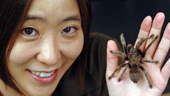 Insect-Based Material Alternatives