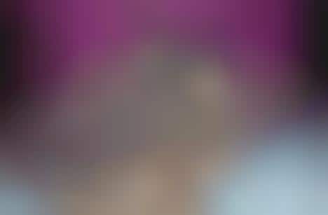 Ridiculous Rodent Photoblogs