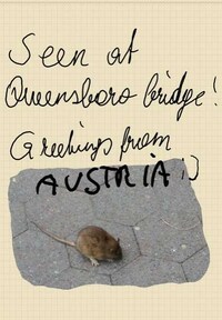 Ridiculous Rodent Photoblogs Image 5