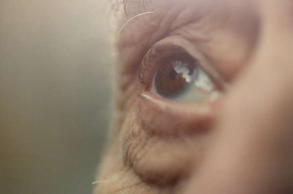 Literary Perspective Shorts