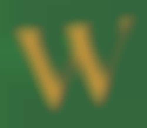 Waste-Reverting Social Enterprises