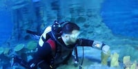 Stat-Tracking Diver Displays Image 2