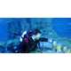 Stat-Tracking Diver Displays Image 2