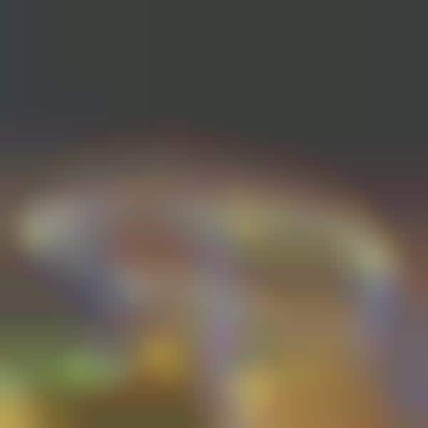 Puddled Pictures Shine