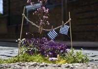 Minature Pothole Gardens Image 3