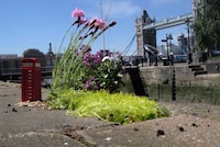 Minature Pothole Gardens Image 4