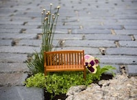 Minature Pothole Gardens Image 5