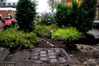 Minature Pothole Gardens Image 6