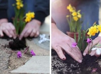 Minature Pothole Gardens Image 7