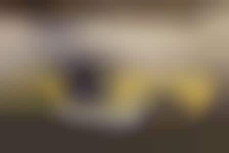 Paperweight Auto Art