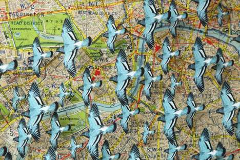 Avian Cartographic Boxes