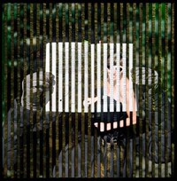 Parallel Multi-Narrative Photography Image 3