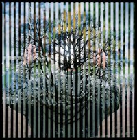 Parallel Multi-Narrative Photography Image 4