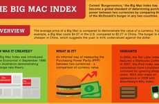 Burger Currency Infographics