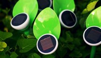 Disguised Green Fixtures Image 3