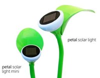 Disguised Green Fixtures Image 4