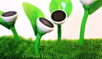 Disguised Green Fixtures Image 5