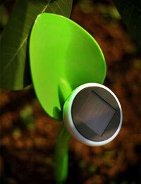 Disguised Green Fixtures Image 7