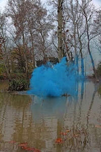 Sulking Neon Smoke Photography Image 4