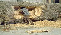 Naturally Enclosed Sculptures Image 5