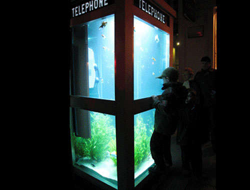 Urban Aquarium