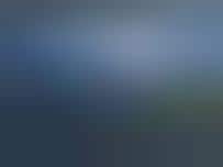 Google Adroid OS