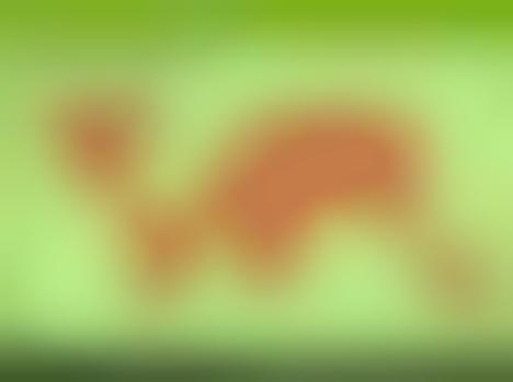 Ecological Footprint Quiz